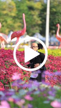 BIB:  <button type="button" onclick="openModal(27583566)" class="btn btn-primary btn-sm float-right" data-toggle="modal" data-target=".modal-high-quality">
                <i class="fa fa-download"></i> Download
                </button>